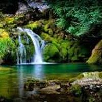 anan halaseh's Photo