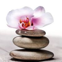 Beatrice Bordesoulle的照片