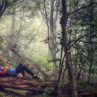 Fotos de Tiffany Mueller