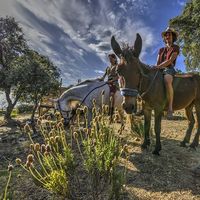 Alabiene Roosk的照片