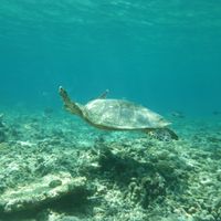 Johanna  Sturmer's Photo