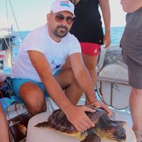 Fotos von Aethus Linosa