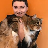 Fotos von Carleene Houk