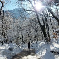 Merry Merry的照片