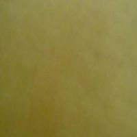 Jean Marc Adobati's Photo