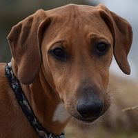 Олег Старченков的照片