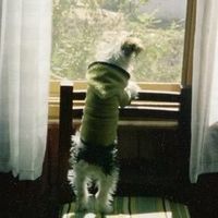 Paola Garzón's Photo