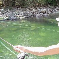 Brendan De Paulo的照片