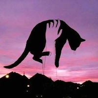 Carolina Alejandra's Photo