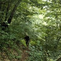 Fotos von Muvaffak Ercan