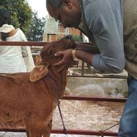 Fotos de Mahak Tarar