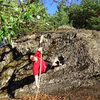 Brandon Baker's Photo