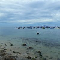 Thi Phuong Le's Photo