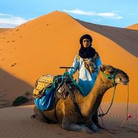 mahdi mbark的照片