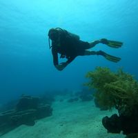 Gilles Damay's Photo