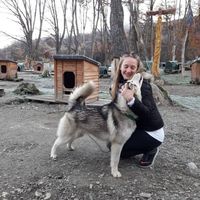 Fanny Tancabelich的照片