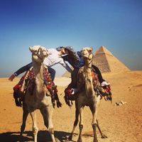 Rebecca Kerschbaum Saona's Photo