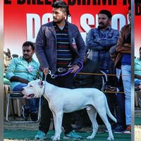 Shashank Shaky's Photo