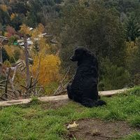 Martin Peretti's Photo