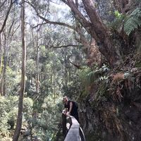 Jonathan Herrera's Photo