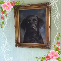 Ciárna  Brighid的照片