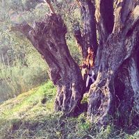 Kiya Nicole的照片