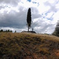 Daniel Jiménez's Photo