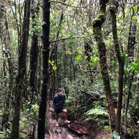 Yosias Bramantyo's Photo