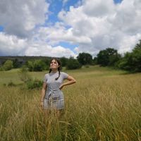 Violette SB的照片