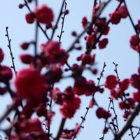 Florencia Mathv's Photo