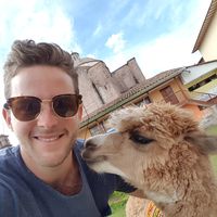 Bo Den Hollander的照片