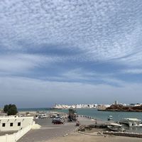 Hamideh  Mad's Photo