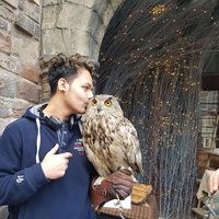 Vilas Kulkarni的照片