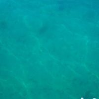 Fotos de Julia Bitzer