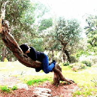 Tracy Courtney's Photo