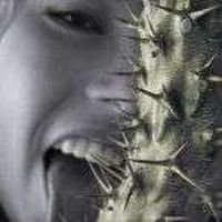 Lisa Burhart's Photo