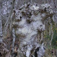 Sylvain Braud's Photo