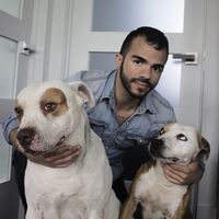 Fotos de baron perez