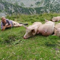 Dennis Lassche's Photo