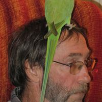 David Schneider's Photo