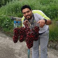 saeed Jamaloo's Photo