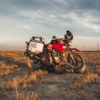 Nathaniel Brown's Photo