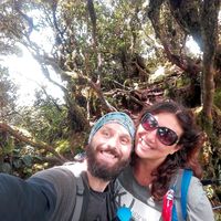 Alessandro liburdi的照片