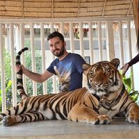 Фотографии пользователя Erhan Karaağaç