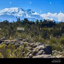 About 8 Days Shira Route Mount Kilimanjaro hiking的照片
