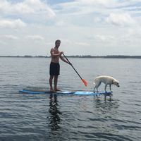 Nicolas D-bros的照片