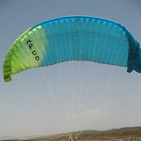 Dor Ohrenstein's Photo