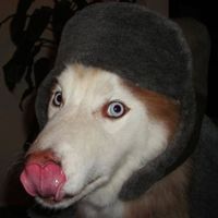 Cristiano Baldin的照片