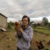 Chester Tsao的照片