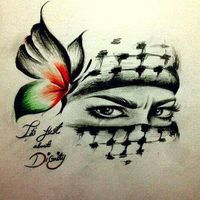 Mahmoud Ismail's Photo